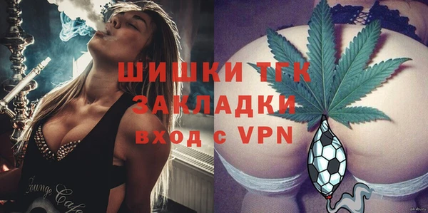 прущие грибы Белоозёрский