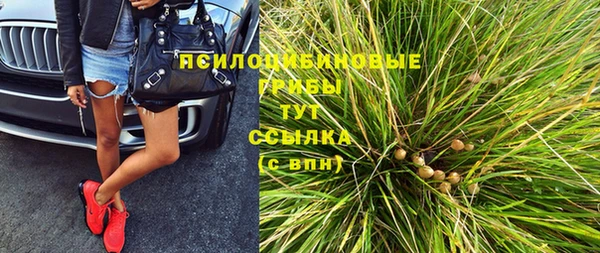 прущие грибы Белоозёрский