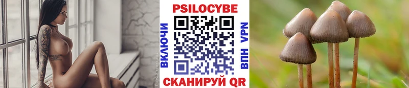 маркетплейс состав  Щигры  Псилоцибиновые грибы Cubensis  гидра ссылки 